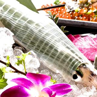 Very popular! Live squid made directly from Yobuko