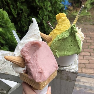 町田あいす工房 ラッテ_1