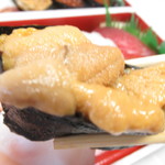 Supaa Kusu - さかなやの寿司　流氷　１０５８円（税込）の塩水うにのアップ【２０１８年９月】