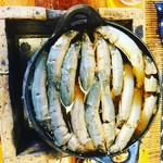 駒形どぜう 本店 - 