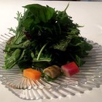 PRIMO - からし菜・わさび菜のミックスサラダ（2018.9）