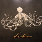 Lubina - 