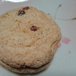 クリオロ - ヨーヨーマカロン・ガイア