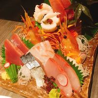 宇田川 紫扇 - 
