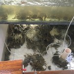 陽澄湖蓮花島江南蟹閣 - 