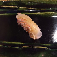 月の木 - 