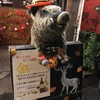 炉端美酒食堂 炉とマタギ 西梅田 炉端美酒食堂 炉とマタギ 西梅田