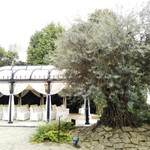 小笠原伯爵邸 - 