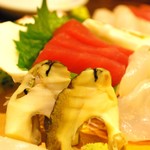 すし太郎 - お刺身盛り合わせ