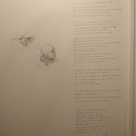 スポンテニアス - 