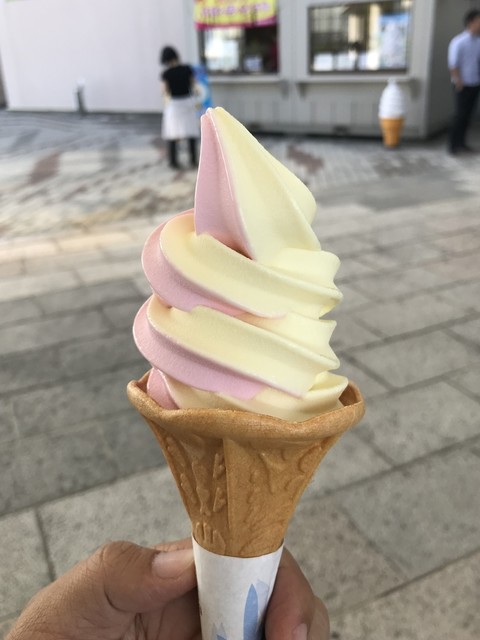 『秋田旅 Vol.9 秋田名物、バラ盛りの