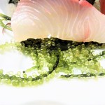 はてなのちゃわん - 