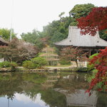 Chougakuji - 紅葉と本堂