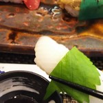 玄海鮨 - イカ  甘い