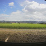 ヒバリカフェ - 