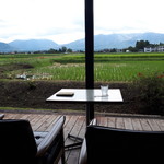 ヒバリカフェ - 