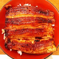 吉寅 - 