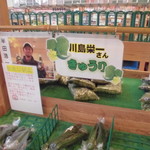 農産物直売所 ぽんぽこ - 青果