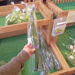 農産物直売所 ぽんぽこ - 青果