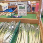 農産物直売所 ぽんぽこ - 青果