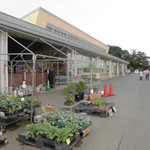 農産物直売所 ぽんぽこ - 花卉