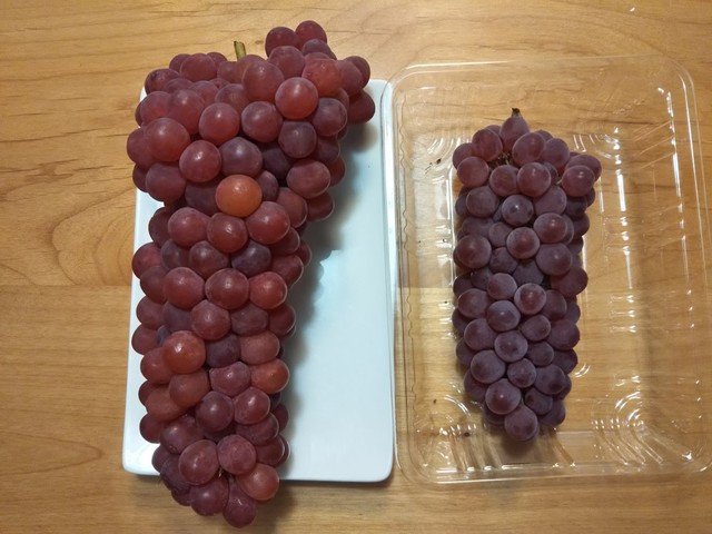 Sagwat Farmers photo 5