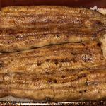 鰻はし本 - 裏横山さんの鰻の特大重