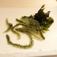 すし岩瀬 - 