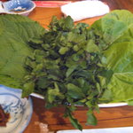 牛舎 - 包み野菜２０１１，９