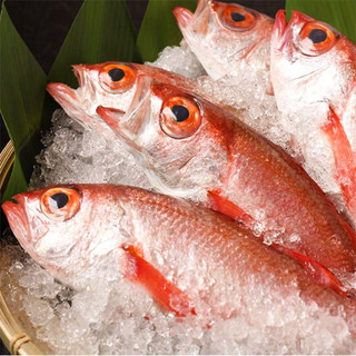 北陸直送「のどぐろ」をお手頃価格で。白身のトロを堪能