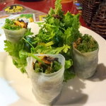 ガラムマサラ - パクチー春巻（タンドリーチキン入り）580円+税