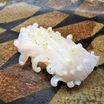 鮨おおしお  - ヤリイカ