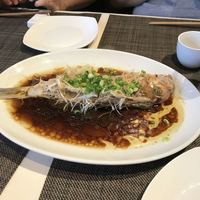 施家菜 - 
