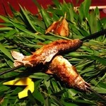 花仙庵 仙仁温泉 岩の湯 - （夕食）「鮎の塩焼き」笹の葉にのってきました