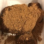 腰掛庵 - わらびもち