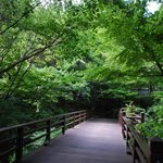 花仙庵 仙仁温泉 岩の湯 - 門を入って橋を渡ると建物があります