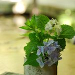 花仙庵 仙仁温泉 岩の湯 - まだ紫陽花が