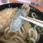 饂飩屋 - ごぼう天の正体
良質には見えん