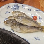 居酒屋 大江戸 - 