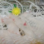 姫路まえどれ市場 - ｲｼﾀﾞｲ真ん中の身