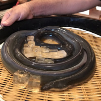 入谷鬼子母神門前のだや - 