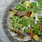 フルヌス銀座 - 野菜と魚介のサラダ