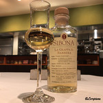 カーサ・デル・チーボ - SIBONA LA GRAPPA DI BARBERA