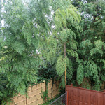 別邸 石の家 - 緑に囲まれた