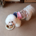 別邸 石の家 - お目覚めの’軽食’タイム