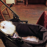 別邸 石の家 - 大満足〜後ろ向きで顎乗せ