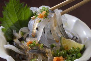 Gempin fugu - 