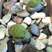 ルカンケ - 