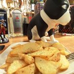 スタープラチナ - Red Hot Chile Pepper