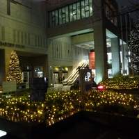 トレーダーヴィックス東京 - 